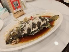 -状元楼(金溪路店)