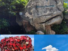 -广州市白云山风景名胜区