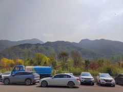 -若水农家乐
