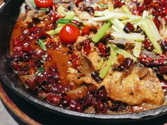 -老板恋上鱼(恒隆广场店)