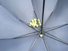 -三圣花乡旅游区