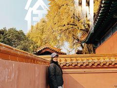 -戏马台景区
