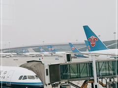 -广州白云国际机场-T2航站楼
