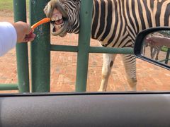 -南京金牛湖风景区