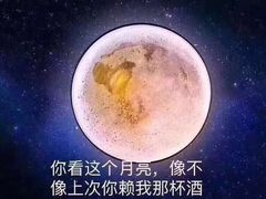 -温莎KTV(珠江路店)
