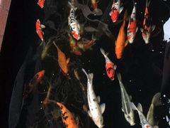 景观位-侠成水上农庄(工业大道店)