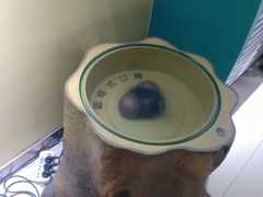 -上海昆虫博物馆