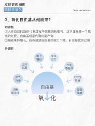 -玛莲朵·海菲秀冰珀科