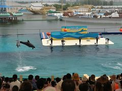 -秦皇岛乐岛海洋王国