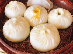 鲜肉包-花园茶楼(兴城西路店)