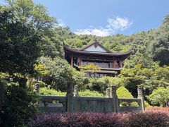 -十八棵（老龙井）御茶园(老龙井店)