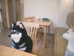 -柴の食堂·日式家庭料理·熊之肆(大学路店)