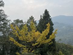 -青城山