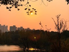 -昆山城市生态森林公园