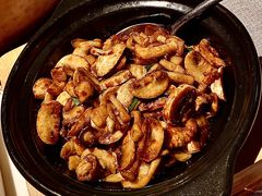 砂锅焗什锦菇-星·South Beauty·俏江南(国贸店)