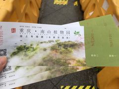-南山植物园