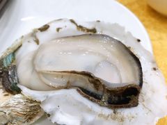 桑拿蚝-蚝专家(北滘店)