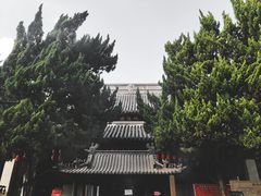 -秋霞圃