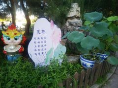 -莲花池公园