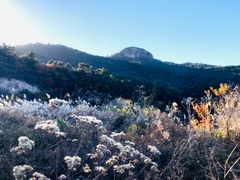 -照金香山旅游景区