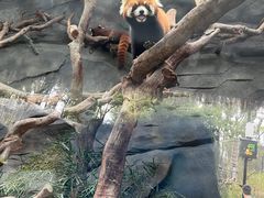 -武汉动物园
