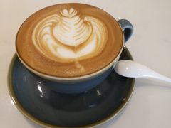 -飞行喵MR PILOT|猫舍·猫咖(静安大融城店)