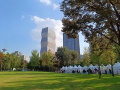 -新虹桥中心花园