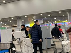 -谢列梅捷沃国际机场