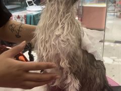 -FAELING PETS美天灵宠物(合生汇店)