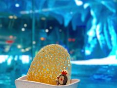 -帝企鹅自助餐厅•儿童岛•真企鹅(长隆企鹅酒店)