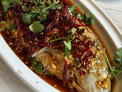 -百味地锅鸡(二店·财校分店)