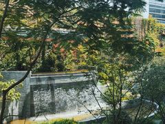 -广州白云国际机场-T2航站楼