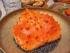 -Osteria Garden 生蚝花园餐厅(原进贤路店)