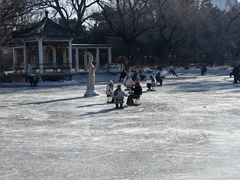 -北陵公园