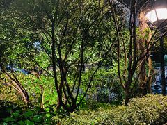 -旅马餐厅(茅家埠店)