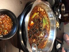 红汤鱼黑鱼-川渔居—鱼火锅(八方汇店)