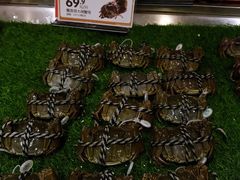 -盒马鲜生(岭南新世界店)