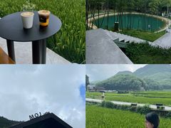 -MOJ coffee(瓯海泽雅水碓坑店)