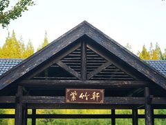 -黄海国家森林公园