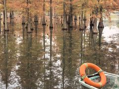 -白鹭湾湿地公园