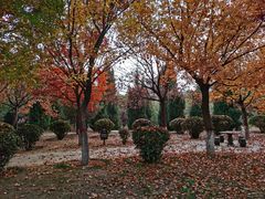 -大槐树寻根祭祖园