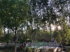 -仁和公园(顺义区)