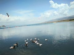 -青海湖国家重点风景名胜区