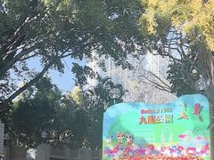 -九龙公园