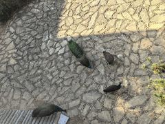 -苏州环秀晓筑养生度假村