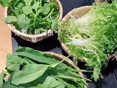 -攀枝花野菜铜火锅(万科凯德店)