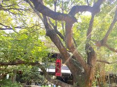 -广州兰圃