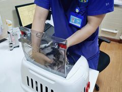 -北京观赏动物医院·24小时大型综合·猫专科·异宠专科
