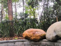 -青城道汤池