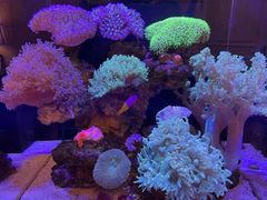 -Rabbit Cafe私房西餐甜点咖啡(栖霞路店)